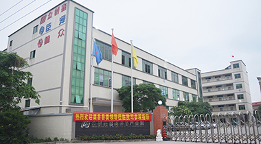 热烈欢迎渠县县委领导莅临我司参观指导！